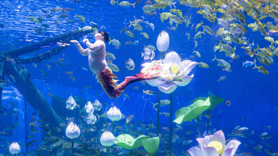 坐拥20亿流量的胖人